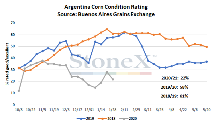 Argentina: Chất lượng mùa vụ ngô và đậu tương quay đầu giảm trong tuần này