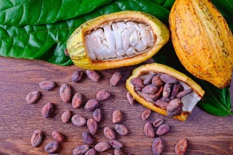 ICCO: Thị trường cacao dự kiến thặng dư 100,000 tấn trong niên vụ 2020/21
