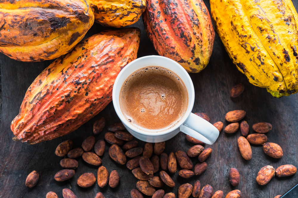 Nông dân Tây Phi găm hàng đẩy giá cacao kỳ hạn tăng vọt