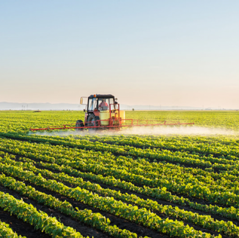 Brazil: Sản lượng đậu tương ở bang Parana niên vụ 20/21 ước tính đạt 20.34 triệu tấn