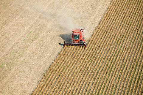 Brazil: Thu hoạch đậu tương tại bang Mato Grosso đã đạt 80.16% diện tích dự kiến