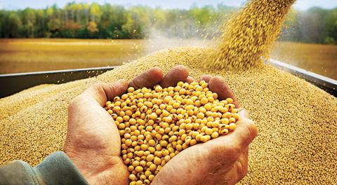 Argentina: Hoạt động đình công đang trì hoãn xuất khẩu lượng hàng hóa trị giá 1.458 tỷ USD