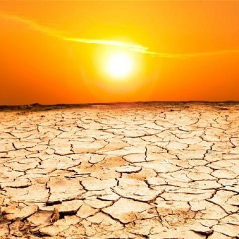 [Thời tiết] Độ ẩm tại các vùng gieo trồng chính của Argentina trong tháng 3 dự báo sẽ thấp hơn thông thường