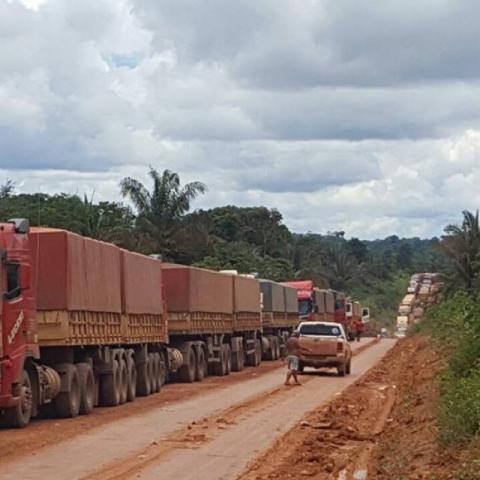 Brazil: Thủ phủ đậu tương Sorriso tuyên bố tình trạng khẩn cấp do mưa kéo dài