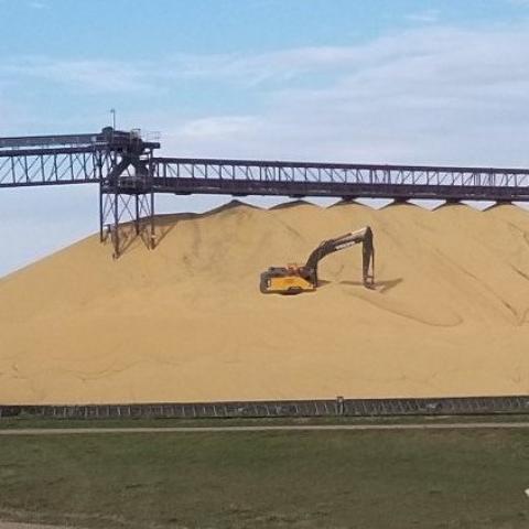 Argentina: Sản lượng ép dầu đậu tương tháng 2 ở mức cao nhất 5 năm vừa qua
