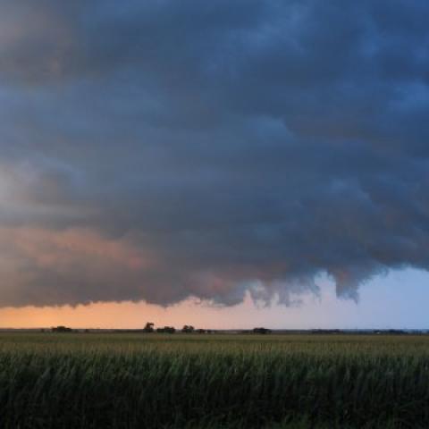 [Thời tiết] Mưa sẽ tiếp tục xuất hiện tại một số bang gieo trồng chính trong khu vực Midwest