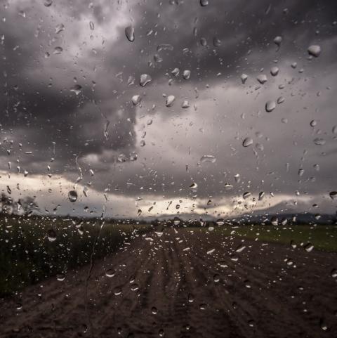 [Thời tiết] Những cơn mưa không ngừng xuất hiện tại khu vực gieo trồng miền trung Brazil