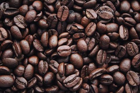 Uganda: Xuất khẩu cà phê tháng 2/2021 tăng 16% nhờ năng suất cao và giá tốt