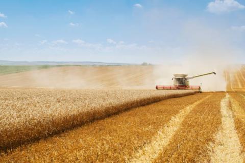 Ukraine: Xuất khẩu ngũ cốc giảm 23.3% xuống 35 triệu tấn trong niên vụ 2020/21