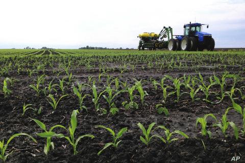 USDA: Diện tích gieo trồng đậu tương Mỹ thấp hơn khá nhiều so với kỳ vọng