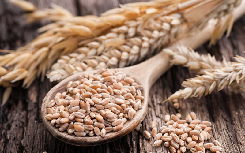 Những thông tin tích cực về thỏa thuận xuất khẩu ở Biển Đen sẽ tiếp tục tạo áp lực tới giá lúa mì