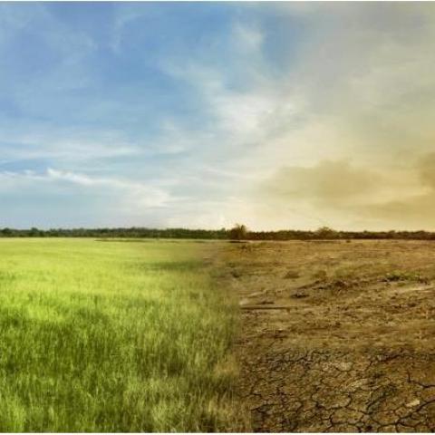 [Thời tiết] Điều kiện khô ráo tạo nên yếu tố thuận lợi cho quá trình gieo trồng và thu hoạch tại Brazil