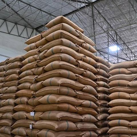 TQ: Bán đấu giá 410,700 tấn lúa mỳ trong tuần trước với mức giá 367.68 USD/tấn