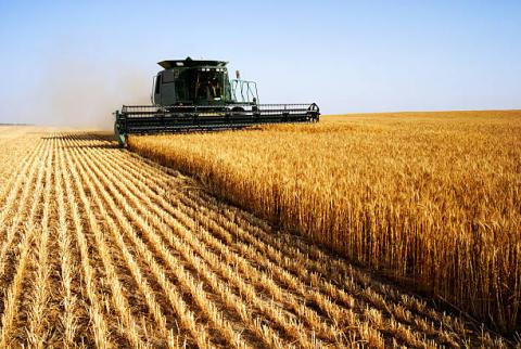 USDA Crop Progress: Tiến độ mùa vụ và chất lượng cây trồng trong tuần kết thúc ngày 04/04
