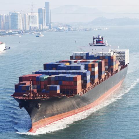 USDA Daily Export Sales: Bán 130k tấn lúa mỳ SRW niên vụ 21/22 cho một nước giấu tên