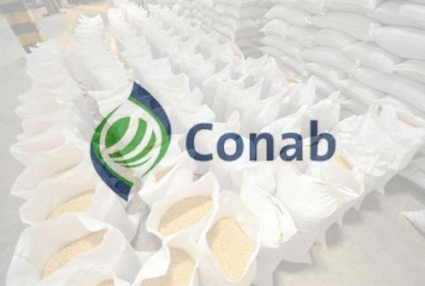 Brazil: CONAB tiếp tục tăng dự báo sản lượng ngô và đậu tương trong báo cáo tháng 4