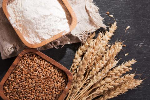 Nga: Diện tích gieo trồng lúa mỳ vụ xuân ở mức 113,700 hectare