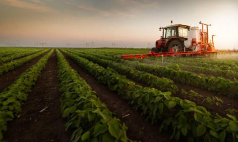 Brazil: FAS dự báo sản lượng đậu tương niên vụ 2021/22 đạt 141 triệu tấn