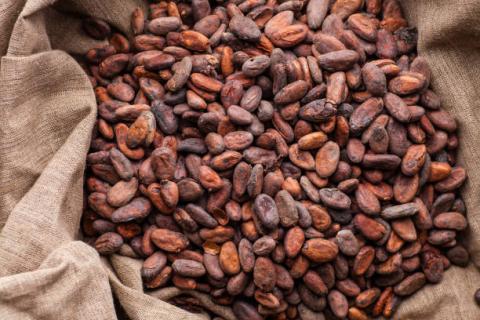 Bờ Biển Ngà: Lượng cacao được vận chuyển tới các cảng ước tính đạt 1.783 triệu tấn