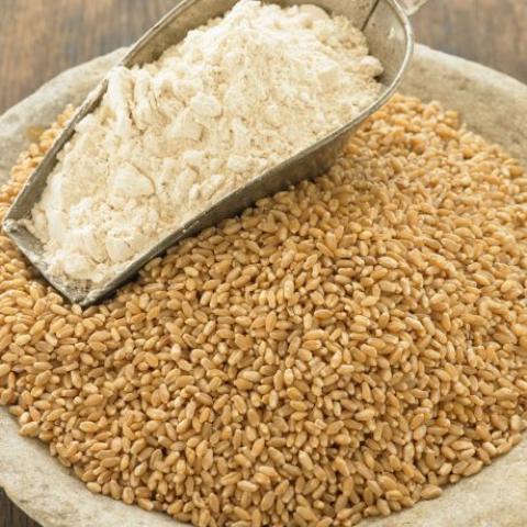 TQ: Bán đấu giá 1.6 triệu tấn lúa mỳ trong tuần trước với mức giá 360.36 USD/tấn
