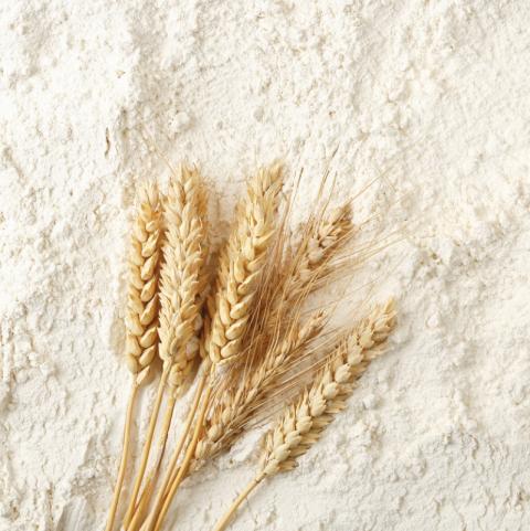 Pháp: Xuất khẩu lúa mỳ tại cảng Rouen giảm 37% về mức 58,520 tấn