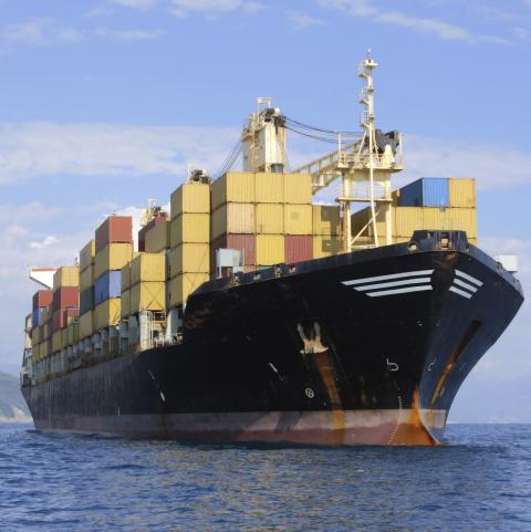 USDA Daily Export Sales: Bán 1.36 triệu tấn ngô niên vụ 2021/22 cho Trung Quốc