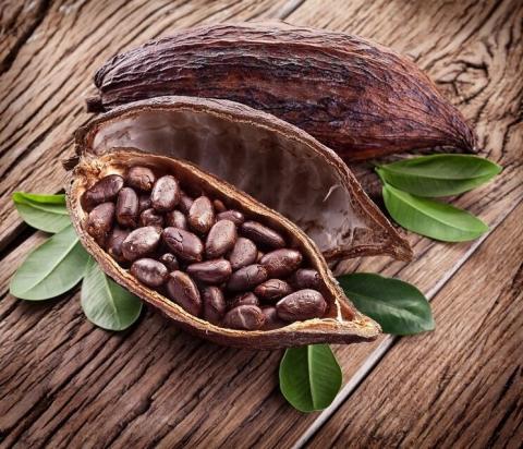 Bờ Biển Ngà: Lượng cacao được vận chuyển tới các cảng ước tính đạt 1.963 triệu tấn