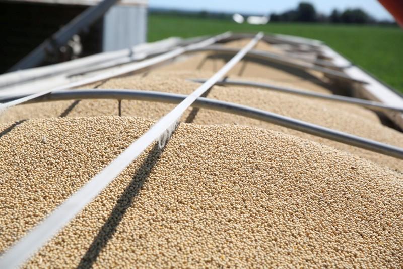 Số liệu bán hàng tích cực trong báo cáo xuất khẩu hôm qua tiếp tục hỗ trợ giá đậu tương trong sáng nay
