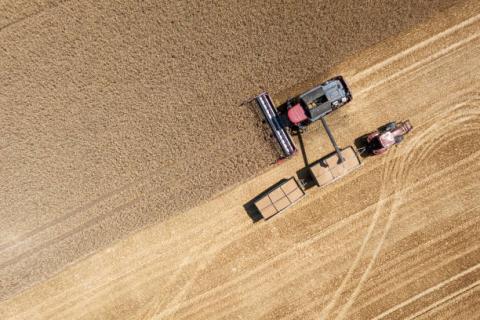 Argentina: Gieo trồng lúa mì tăng mạnh trong tuần vừa rồi nhờ thời tiết thuận lợi