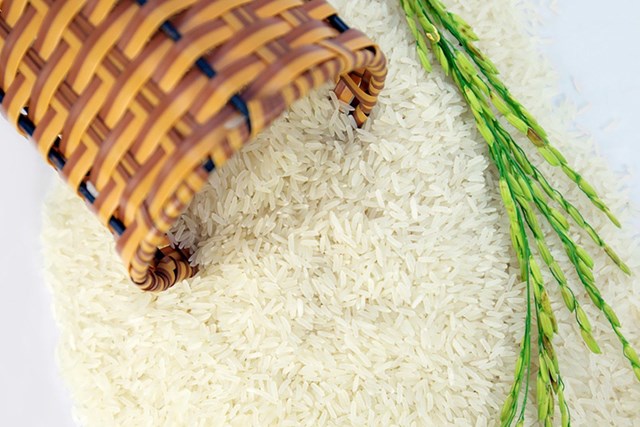 Giá lúa gạo hôm nay 19/7: Gạo nguyên liệu giảm