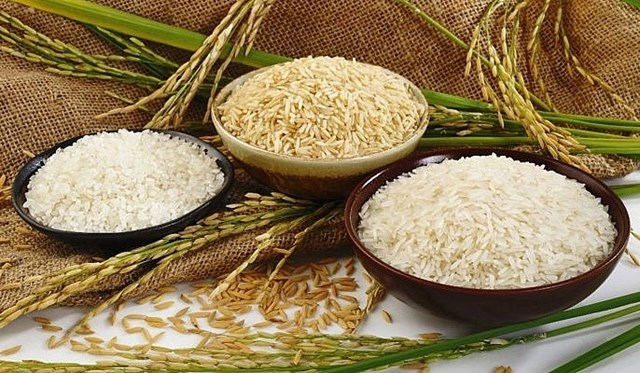 Giá lúa gạo hôm nay 13/7: Giá lúa tăng