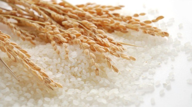 USDA dự báo nhập khẩu - sản lượng tiêu thụ và tồn trữ gạo thế giới (báo cáo tháng 7/2021)
