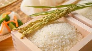 Giá lúa gạo hôm nay 16/7: Gạo nguyên liệu ổn định 