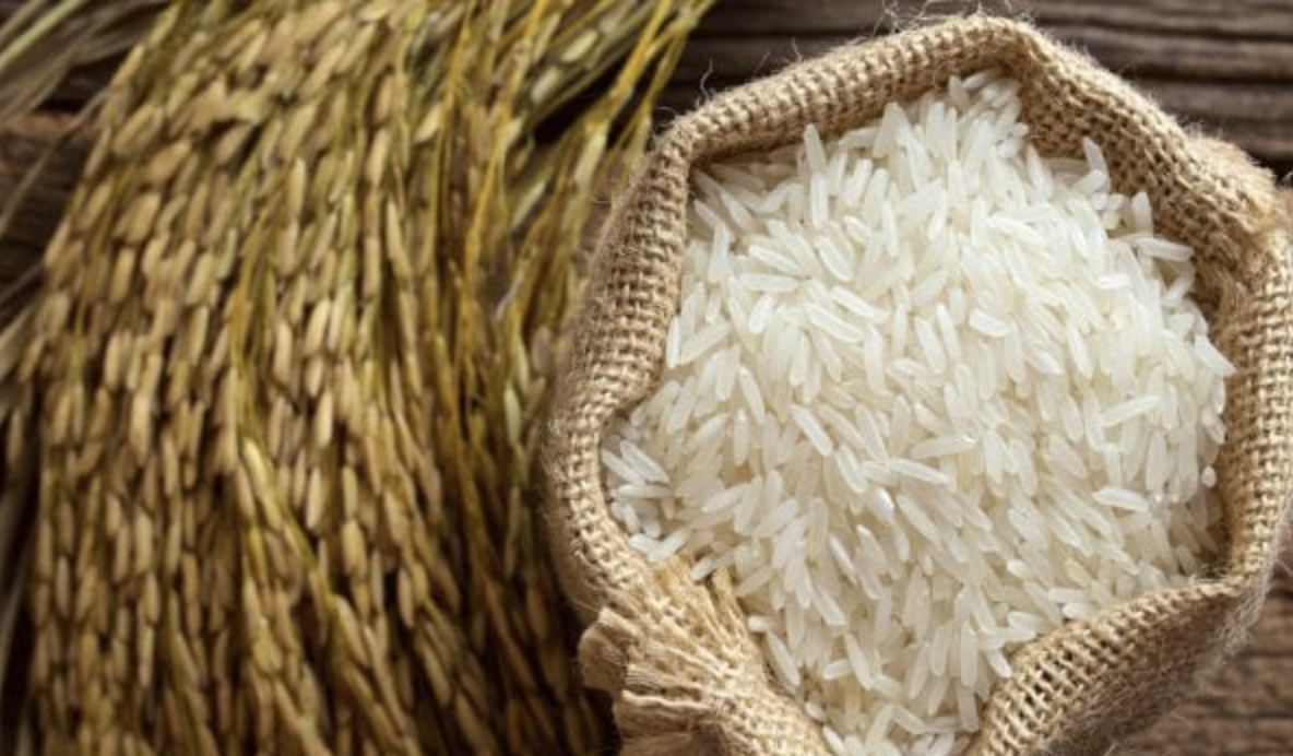 Giá gạo Việt tăng cao, ngành nông nghiệp tận dụng cơ hội xuất khẩu
