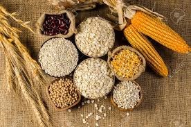 Giá lúa mì giảm do lo ngại về nguồn cung thế giới