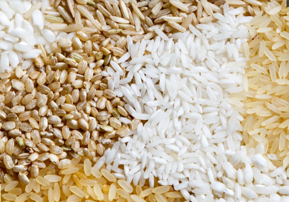 USDA dự báo thương mại gạo thế giới năm 2021 và 2022 (báo cáo tháng 8/2021)