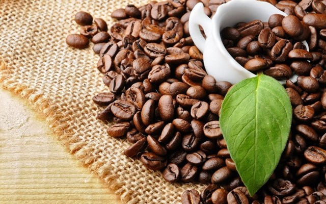 Nguy cơ gây khan hiếm cà phê trên toàn cầu
