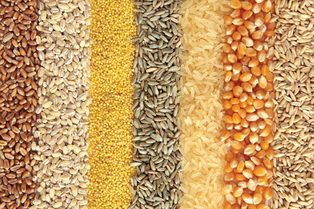 Đậu tương và lúa mì tăng, ngô giảm trong phiên giao dịch cuối tuần