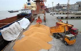 Nhập khẩu đậu tương tháng 8 của Trung Quốc giảm do nhu cầu ổn định