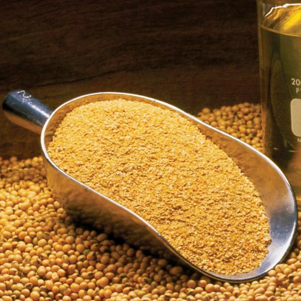 USDA: Tồn kho cuối vụ đậu tương Mỹ 2020/21 tiếp tục giảm mạnh