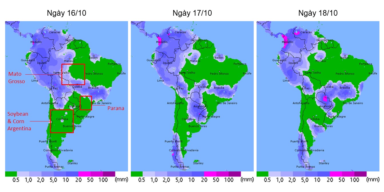 [Thời tiết] Mưa vừa trên các vùng gieo trồng chính tại bang Mato Grosso