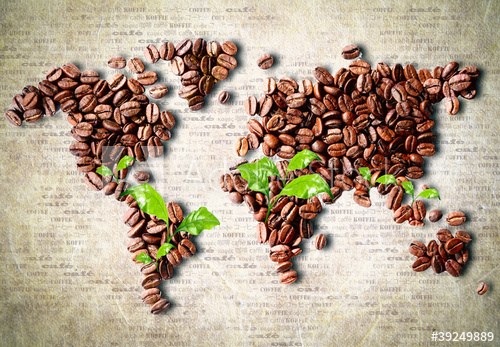 Giá cà phê hôm nay 06/10: Tình trạng thiếu hụt nguồn cung cà phê toàn cầu có thể kéo dài tới 3 năm