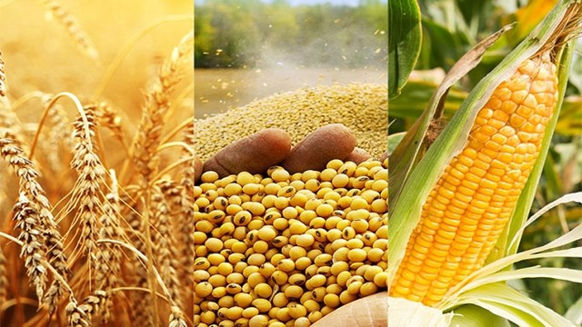 Tính đến ngày 15/11, Nga đã thu hoạch được 123.3 triệu tấn ngũ cốc