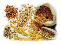 Giá ngũ cốc ngày 1/10: Lúa mì đạt mức cao nhất gần 3 tuần