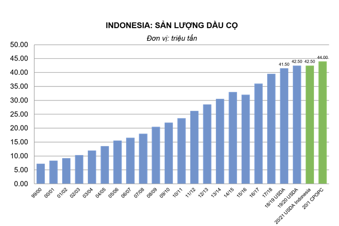 Indonesia: Tăng thuế xuất khẩu dầu cọ thô từ 3 USD lên 33 USD/tấn trong tháng 12