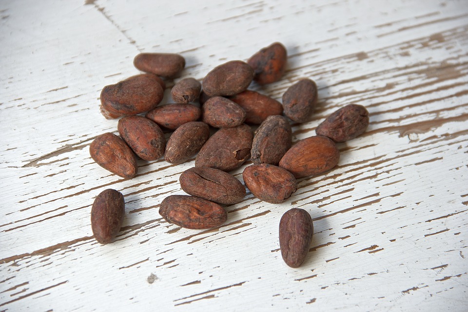 Giá cacao tăng mạnh 7 phiên liên tiếp do tình hình kinh tế bất định