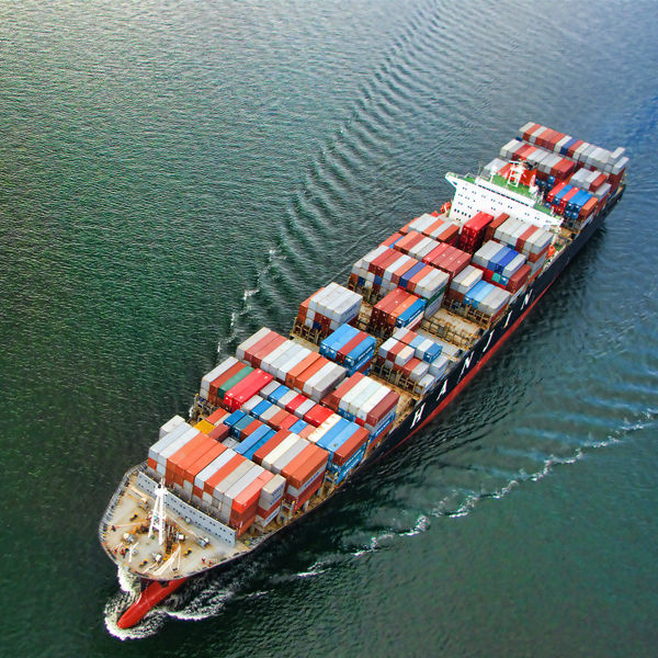 USDA Daily Export Sales: Bán 435k tấn đậu tương cho TQ, Pakistan &amp; nước giấu tên