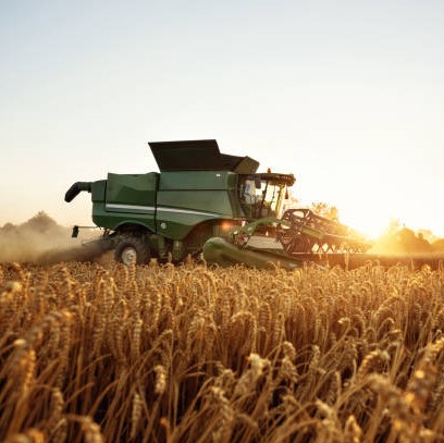 Ukraina: Thu hoạch lúa mỳ giảm 11.3% so với cùng kỳ năm 2019