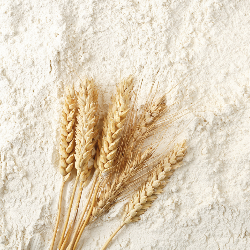 USDA Philippines: Nhập khẩu lúa mỳ 20/21 dự báo giảm 2% xuống 6.85 triệu tấn