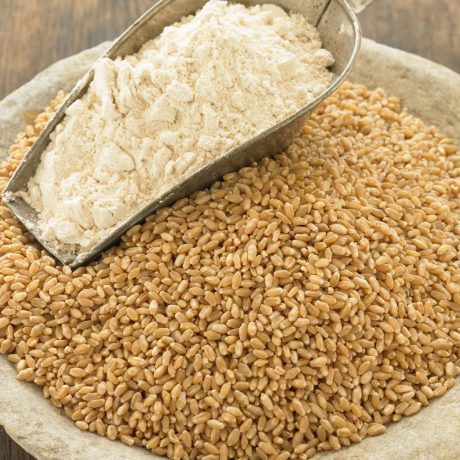 USDA Algeria: Thay đổi chính sách để mở cửa nhập khẩu lúa mỳ biển Đen